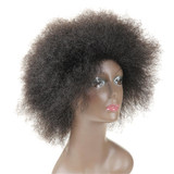 Feibin Afro Short Wig For Black Women Full Head Kinky Curly Hair 12inch bz01 Free Shipping