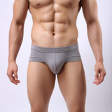 Underwears Men's Sexy Cotton Sexy Underwear Shorts Men Underpants Soft Brief