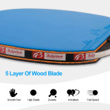 Reemita Table Tennis Set, Ping Pang Set with Premium Table Tennis Bats and 8 Balls, Include Retractable Table Tennis Net Storage bag