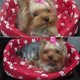 Dog House Bed Winter Warm Sweet Cama Para Cachorro Pet Kitten Puppy Cat Dog Cushion Couch Basket Sofa Bed Mat Pad