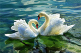 Snowlover,5D,Full,DIY Diamond Embroidery,square,Diamond Painting,Cross Stitch,3D,Diamond,Mosaic,Needlework,Crafts,swan