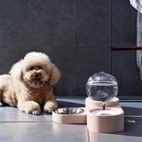 Bubble Pet Bowl Set