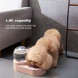 Bubble Pet Bowl Set