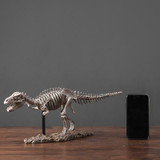 Dinosaur fossil