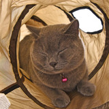 "S"Funny Pet Tunnel Cat Play Tunnel  Brown Foldable 1 Holes Cat Tunnel Kitten Cat Toy Bulk Cat Toys Rabbit Play Tunnel