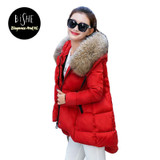 BiSHE Winter Jacket Women Manteau Femme Womens Winter Jackets And Coat Parkas Mujer Ladies Coats Womens Coats 2017