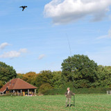 Bird Repellent Black Flying Hawk kite,large eagle kites Scarecrow Decoy for Farm Garden bird pest control