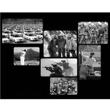 Fashion Summer Polarized Coating Sunglass Alloy Polaroid Sunglasses Men Women Brand Designer Sun Glasses Oculos ZY8550C