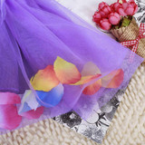 Hot Sell Baby Kids Girls Dress Princess Pageant Party Tutu Dress Lace Bow Flower Tulle dress