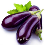 Hot Sale!10Pieces/Bag * delicious Purple Eggplant Seeds Vegetable seeds, bonsai plants for home garden, #7NL7PL