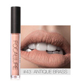 FOCALLURE Brand Liquid Lipstick Matte Waterproof Lips Makeup Cosmetic Nude Series Long Lasting