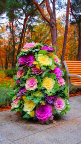 Flowering Ornamental Cabbage seeds , Plant flowering kale in bonsai or pot , Garden decoration flower seeds 100 pcs/bag