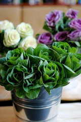 Flowering Ornamental Cabbage seeds , Plant flowering kale in bonsai or pot , Garden decoration flower seeds 100 pcs/bag