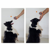Novelty Stretchable Design Pet Training Clicker Dog Cat Agility Training Clickers Bird Whistle Commander Supplies Accessory