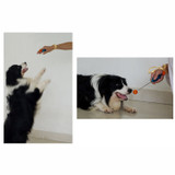 Novelty Stretchable Design Pet Training Clicker Dog Cat Agility Training Clickers Bird Whistle Commander Supplies Accessory