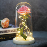 Beauty And Beast Rose