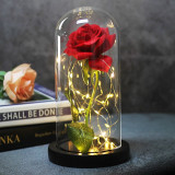 Beauty And Beast Rose