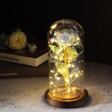 Beauty And Beast Rose