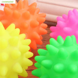 High Quality dog chewing toys Beautiful New Rubber Ball Toy Dog Pet Fun Spikey Ball Biting Chewing And Toys brinquedo cachorro