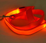 Nylon LED Light Up Dog/Cat Leash