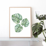 Watercolor Tropical Plant leaf Canvas Art Print Poster,  Wall Pictures for Home Decoration, Giclee Wall Decor CM011-3