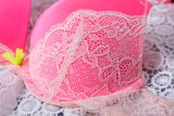 New Sexy Lace Women Bra Set Vs Secret Underwear Bras Sets Plus Size BC Cup Brand Lingerie Push Up Bra And Panty Set DD3200