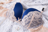 New Sexy Lace Women Bra Set Vs Secret Underwear Bras Sets Plus Size BC Cup Brand Lingerie Push Up Bra And Panty Set DD3200