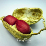 New Seeds 2017!2 pcs/bag Garden organic plants peanut seeds, vegetable seeds and also fruit seeds potted plants jardin,#C2VYHL