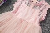 Pink Kids Baby Girls Party Dresses Lace Princess Dress For Baptism Wedding Children Clothing Girl Tulle Tutu Dress 2-6 Years