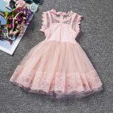 Pink Kids Baby Girls Party Dresses Lace Princess Dress For Baptism Wedding Children Clothing Girl Tulle Tutu Dress 2-6 Years
