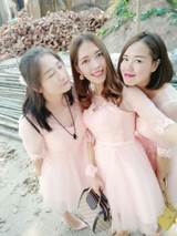 Pink Champagne Geay Half Sleev Tulle Lace Short Party Dresses Evening Dresses robe soiree vestidos de festa Evening Gown BT165