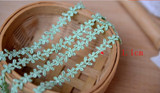 Elastic lace cotton lace accessories beige lace DIY decorative cloth curtain lace