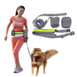 Elastic belt Running dog leash lead sports jogging walking pet collar rope hand free waist dog leash set free shipping