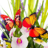 Butterfly 3D PVC Wall Stickers