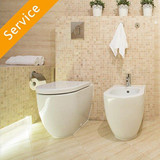 Heated Toilet Seat Installation