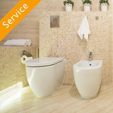 Heated Toilet Seat Installation