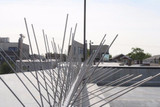 UV Proof Stainless STEEL Bird Spikes,5 Row Extra Wide Bird Spikes-Set of 1(50cm)