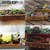 CAFEDO BRASIL Wooden Bonsai Storage Box Desk Decorative box for Home/ Office/ livingroom/Bedroom Eco-friendly Supplies