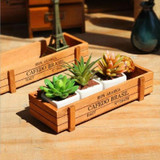 CAFEDO BRASIL Wooden Bonsai Storage Box Desk Decorative box for Home/ Office/ livingroom/Bedroom Eco-friendly Supplies
