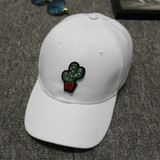 Cactus Embroidery Baseball Cap Snapback Hip Hop Cap Size Adjustable Baseball Cap Summer Casual Women Men Casquette 2017