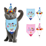 Pet Birthday Party Costume