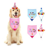 Pet Birthday Party Costume
