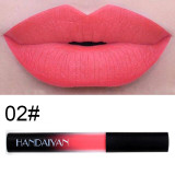 Matte Liquid Lipstick