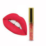 Matte Liquid Lipstick