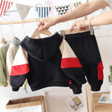 Boys 3 Suits Born Dinosaur Hooded Long Sleeves Top & Pants Wholesale Boys Clothes