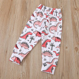 Girls Dinosaur Printed Long Sleeve T-shirt & Pants Girls Clothing Wholesale