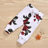 Baby Girls Floral Printed Hooded Top & Pants Baby Wholesale Clothing