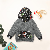 Boys Printed Hooded Long Sleeve Top & Pants Boys Clothes Wholesale