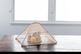 Woven Food Cover