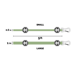 Pride Flag | Leash